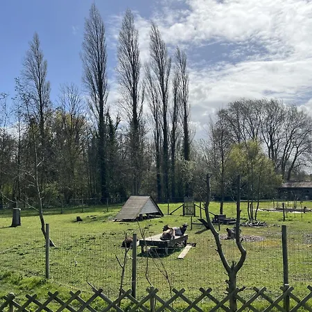 Mobile 2 Au Bord Du Lac, Peche Gratuite Sans Permis Kamp alanı *