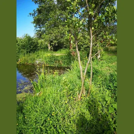 Campeggio Mobile 2 Au Bord Du Lac, Peche Gratuite Sans Permis *