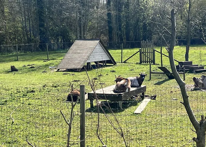 Mobile 2 Au Bord Du Lac, Peche Gratuite Sans Permis