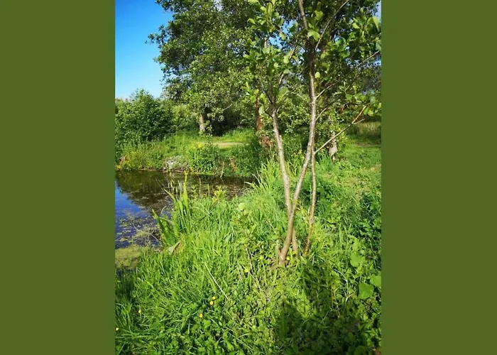 Campingplads Mobile 2 Au Bord Du Lac, Peche Gratuite Sans Permis *